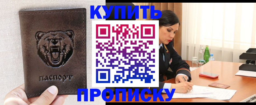 где прописаться в Мончегорске