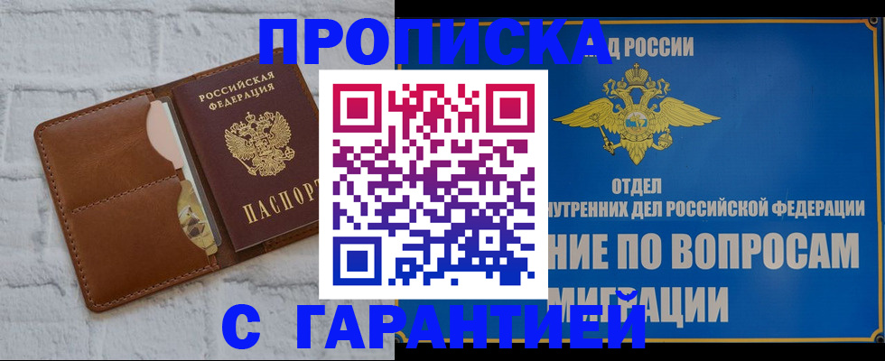 временная регистрация адрес в Мончегорске